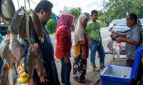 KB02_05122016_IKAN