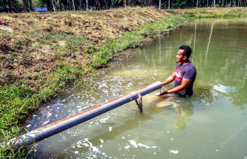 KB02_06032019_KOLAM_IKAN