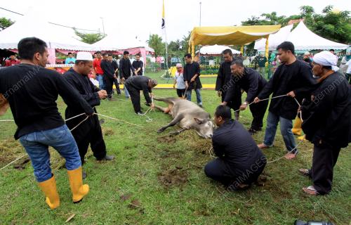 KB02_06102014_KORBAN