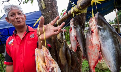 KB02_06122018_IKAN_DARAT