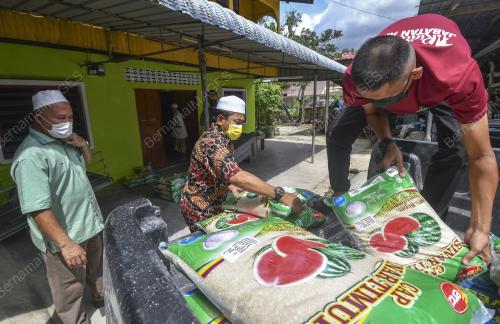 PKPD BUNUT SUSU