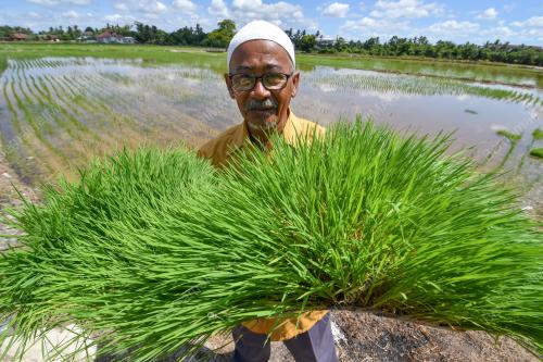 PROGRAM SMART SAWAH BERSKALA BESAR