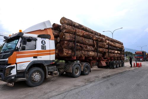 OPS TIMBER