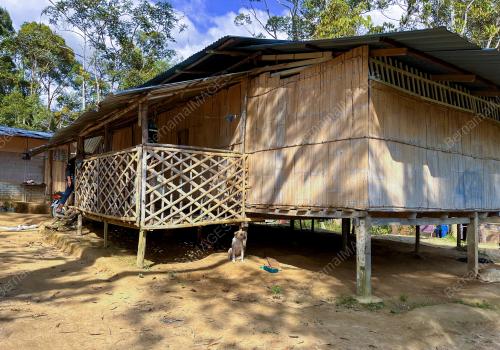 PENEROKAAN HUTAN ANCAM ORANG ASLI