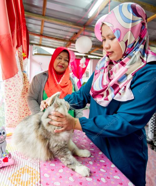 KB02_10052017_CELLY_CAT_HOUSE