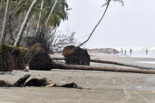 HAKISAN PANTAI