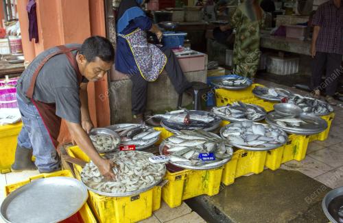 KB02_11062017_IKAN