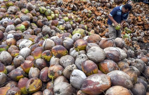 KB02_11062018_KELAPA