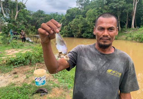 SUNGAI BATANG KIJANG