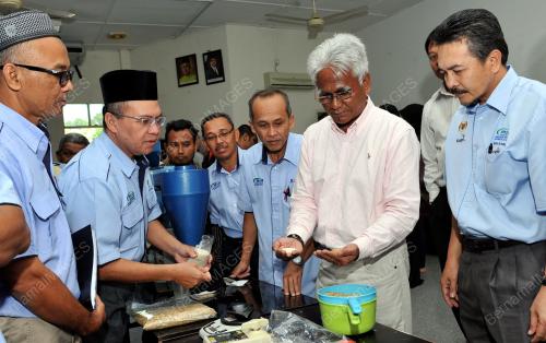 KB02_12012016_PEMUTUAN_PADI