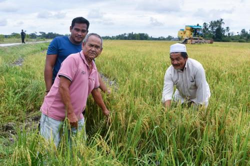 PROGRAM PENUAIAN PADI KAWASAN BACHOK