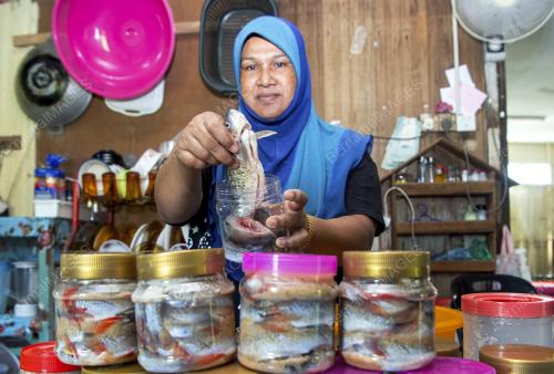 KB02_13112019_IKAN_PEKASAM