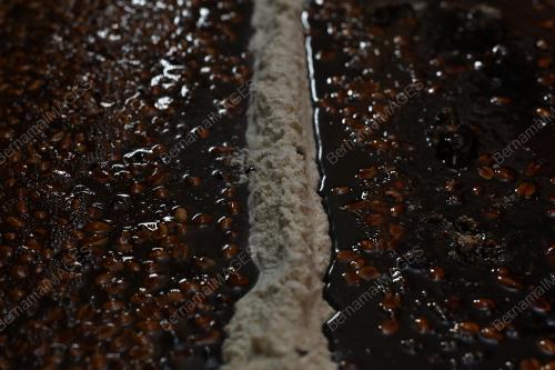 PEMBUATAN COKLAT NISE MAN