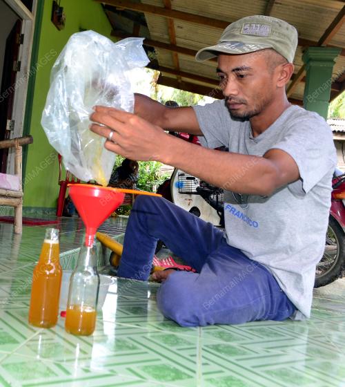 KB02_14072016_MADU_LEBAH