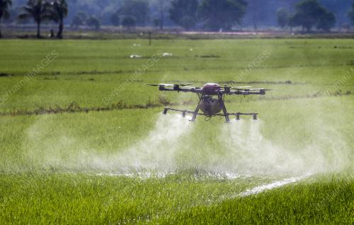 DRON SEMBURAN RACUN, BAJA PADI