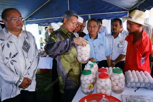 MUSTAPA MOHAMED