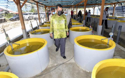 DATUK CHE ABDULLAH MAT NAWI