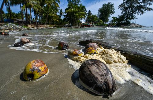 TINJAUAN FENOMENA AIR LAUT PASANG BESAR