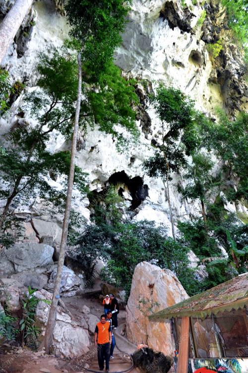 GUA MADU