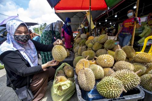 DURIAN LELONG