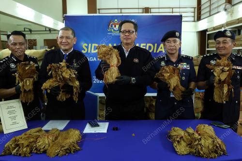 DATUK ZAILANI HASHIM