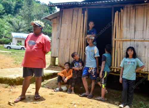 WARTA TANAH ORANG ASLI LOJING