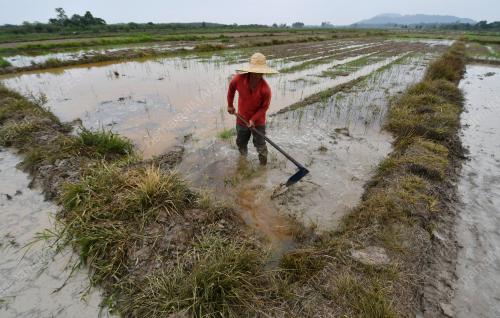 TINJAUAN PESAWAH