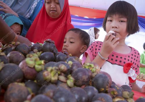 KB02_19092015_MAKAN_BUAH
