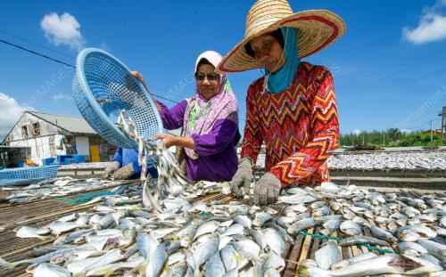 KB02_20012016_IKAN_MASIN