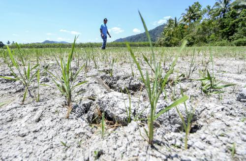 KB02_20032019_SAWAH