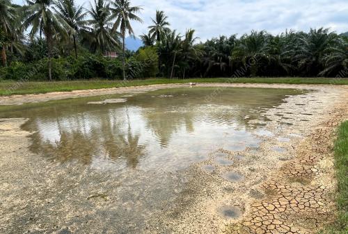 KOLAM IKAN KERING