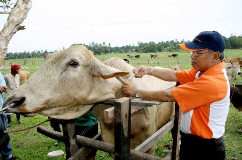 MOHD ZAIRI SERLAN