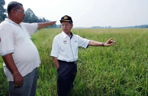 MUSTAPA MOHAMED