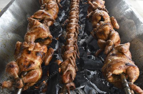 PUYUH GOLEK