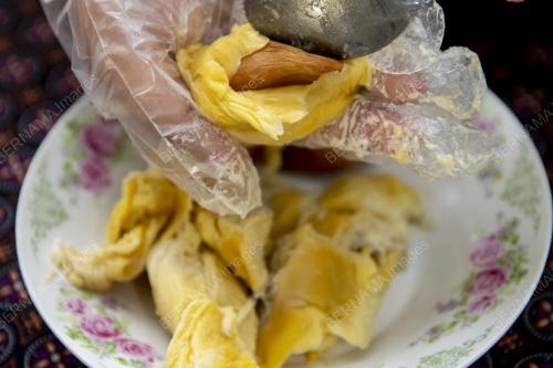 TART_MUSANG