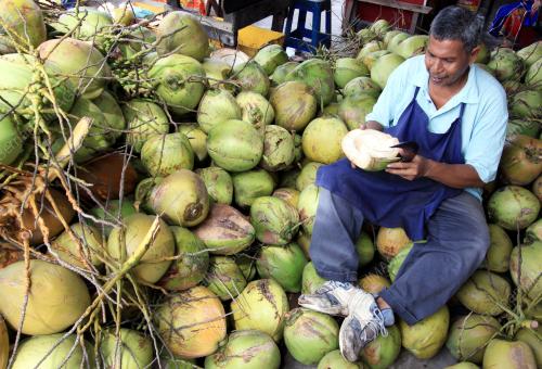 KB02_24062015_KELAPA_MUDA