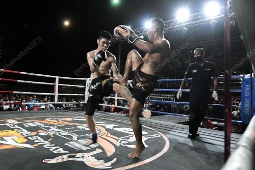 MUAY THAI ANTARABANGSA 2022