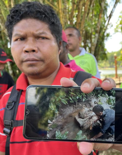 PENCEROBOH TANAH ORANG ASLI