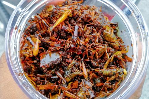 KB02_25082021_BELALANG_GORENG