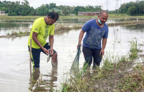 TINJAUAN TENGKUJUH IKAN DARAT 