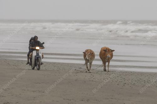 TINJAUAN MONSUN TIMUR LAUT