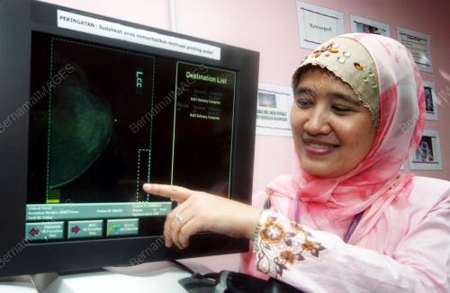 NIK MUNIRAH NIK MAHDI
