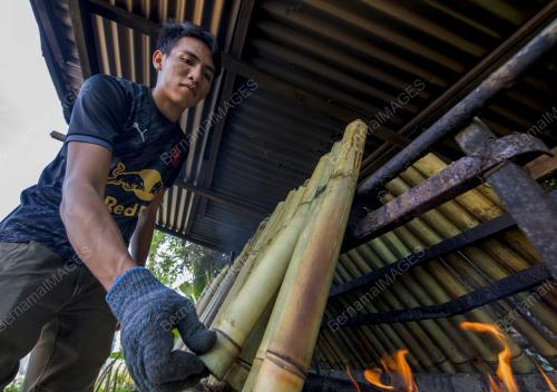 LEMANG ASLI N9