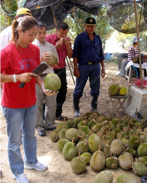 DURIAN KUNYIT