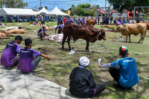 MAJLIS IBADAH KORBAN JAMA'LE