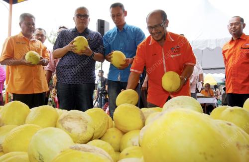 KB02_29082014_FAMA_BUAH