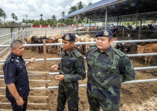 KB02_30092019_LEMBU_BN201909302719