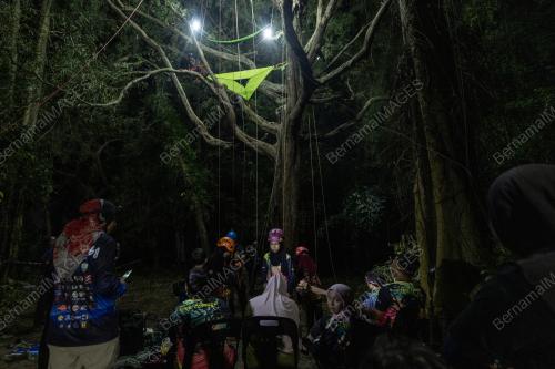 NIGHT ON TREE