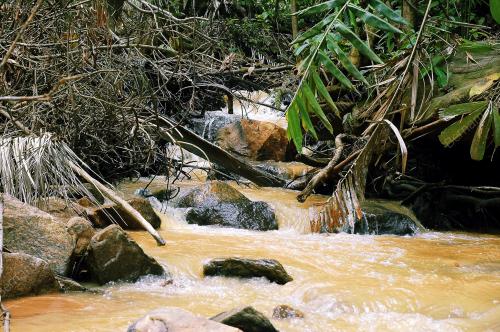ANAK SUNGAI BERLUMPUR