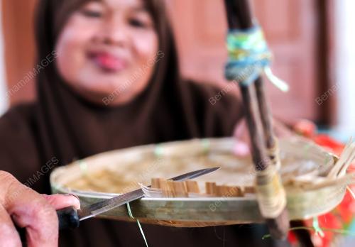 HAZLINA AWANG HAMAT